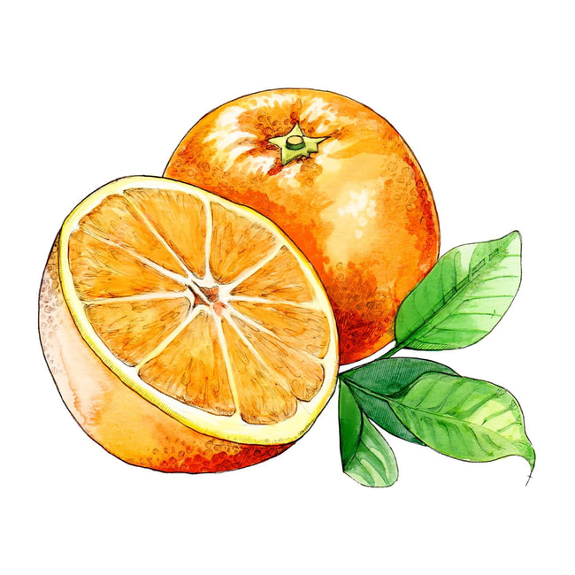 JO MALONE LONDON Orange Bitters Diffuser Hondos Center