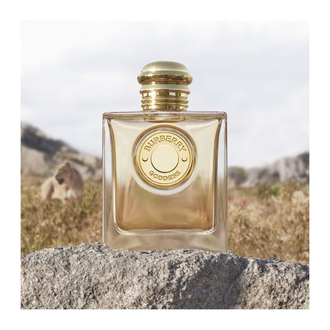 burberry body refill