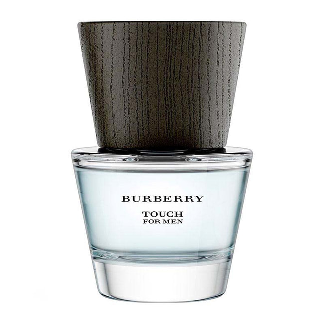 burberry touch for men eau de toilette